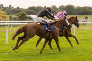 Fast Best Odds for Horse Racing: Pro Tips to Win in India (2026)