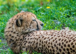 Top 10 Complete Fastest Upi Withdrawal Casino in 2026: Tested & Ranked