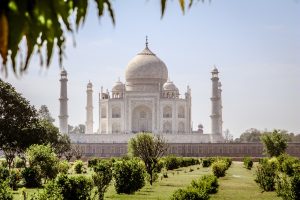 Can You Use UPI for Best Cricket Betting Bonuses In India? Complete Answer (2026)